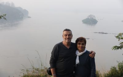 Gorilas en la niebla
