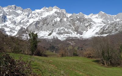 Los vigilantes de Liébana